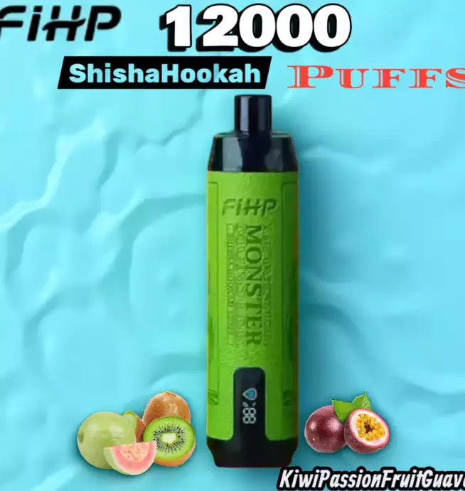 FIHP Shisha Hookah 12000 Puffs Vape longue durée fruitée
