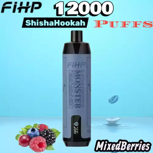 FIHP Shisha Hookah 12000 Puffs Vape longue durée fruitée