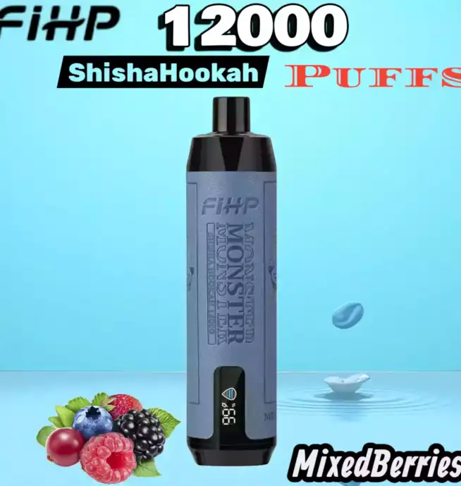 FIHP Shisha Hookah 12000 Puffs Vape longue durée fruitée