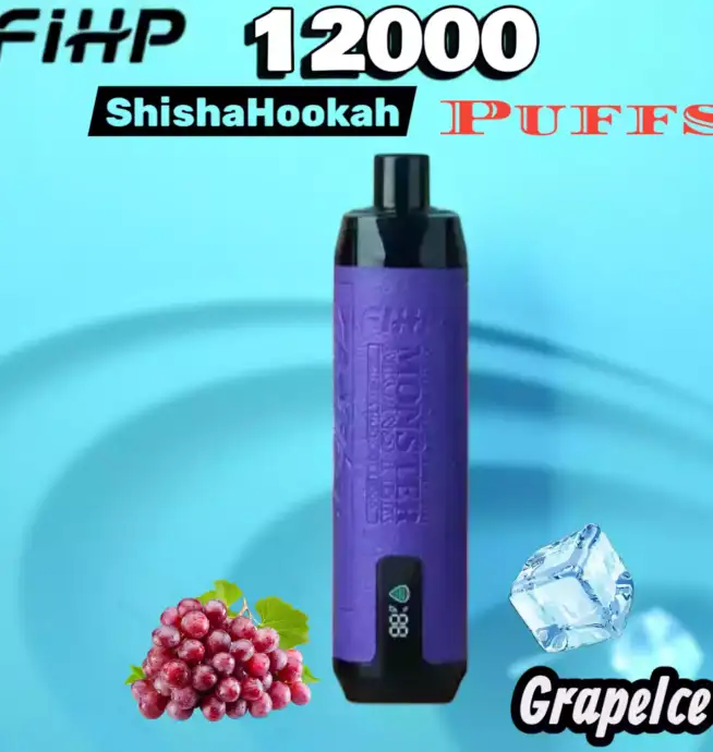 FIHP Shisha Hookah 12000 Puffs Vape longue durée fruitée