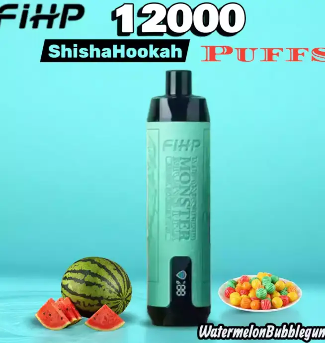 FIHP Shisha Hookah 12000 Puffs Vape longue durée fruitée