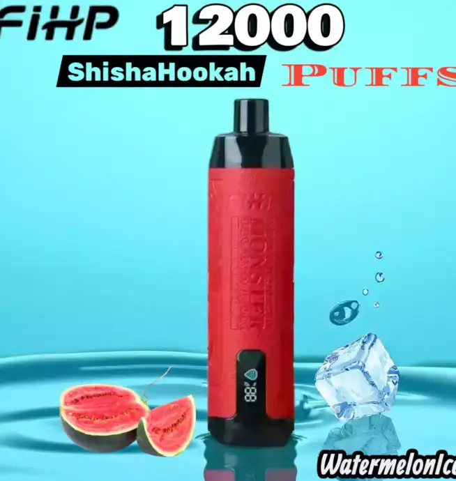 FIHP Shisha Hookah 12000 Puffs Vape longue durée fruitée