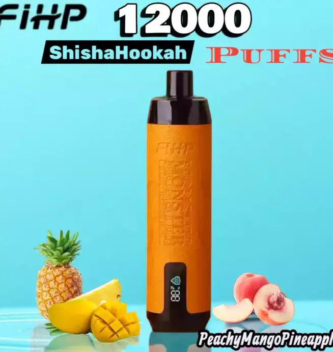 FIHP Shisha Hookah 12000 Puffs Vape longue durée fruitée