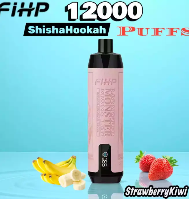 FIHP Shisha Hookah 12000 Puffs Vape longue durée fruitée