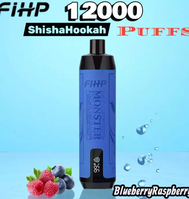 FIHP Shisha Hookah 12000 Puffs Vape longue durée fruitée