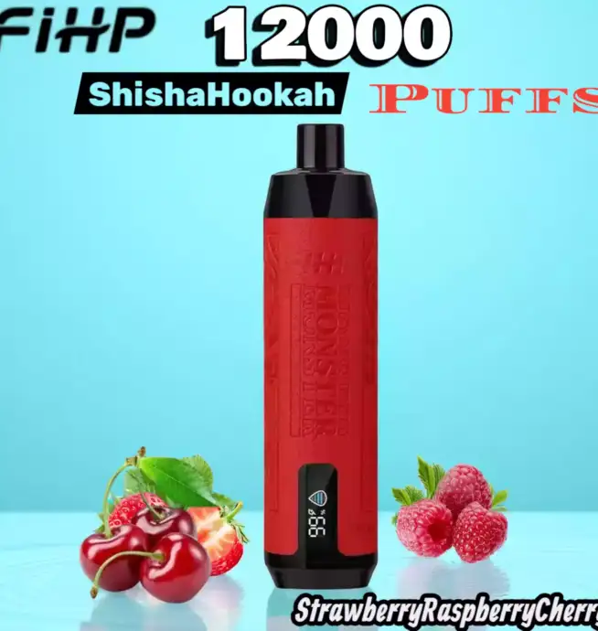 FIHP Shisha Hookah 12000 Puffs Vape longue durée fruitée