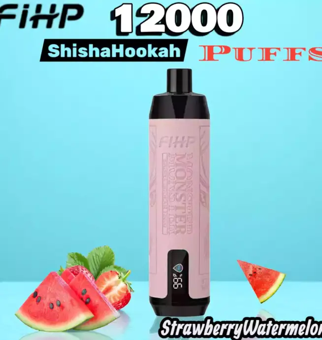 FIHP Shisha Hookah 12000 Puffs Vape longue durée fruitée