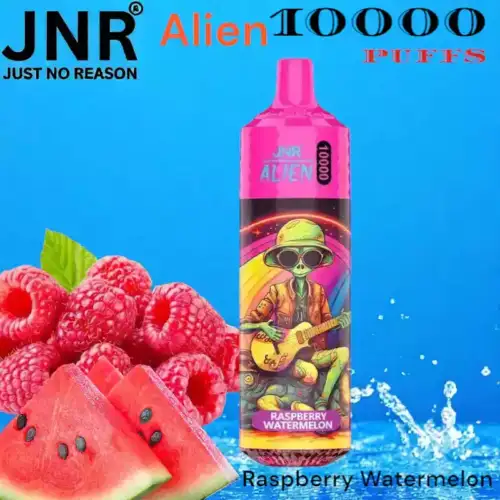 JNR Alien 10000 Puffs Vape jetable rechargeable avec 50 saveurs