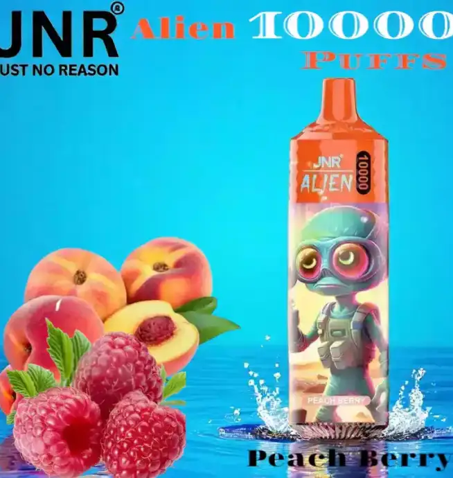 JNR Alien 10000 Puffs Vape jetable rechargeable avec 50 saveurs – Image 5