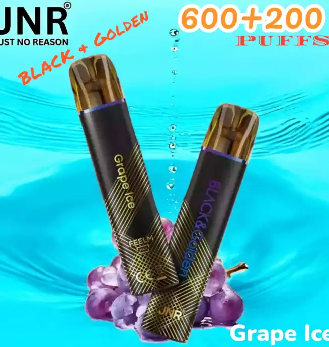 JNR BLACK & Golden 600+200 PUFF Vape Jetable Haut de Gamme Élégante et Performante