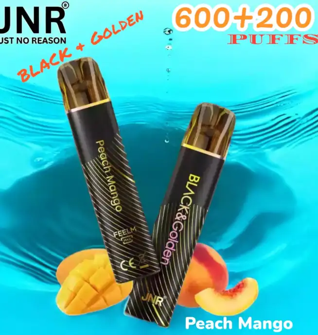 JNR BLACK & Golden 600+200 PUFF Vape Jetable Haut de Gamme Élégante et Performante