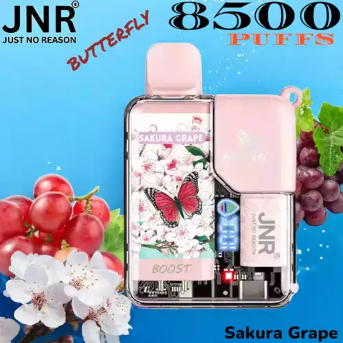 JNR BUTTERFLY 8500 PUFFS Une Vape Durable avec 8500 Bouffées et Plus