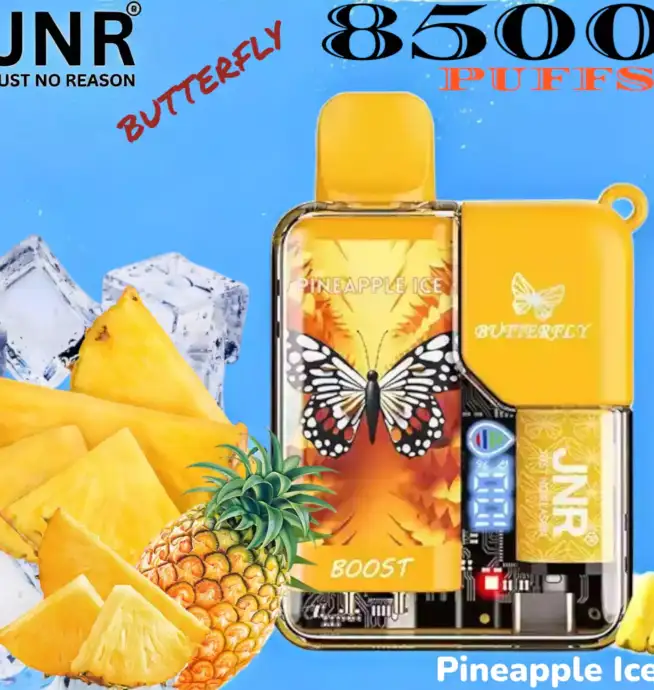 JNR BUTTERFLY 8500 PUFFS Une Vape Durable avec 8500 Bouffées et Plus