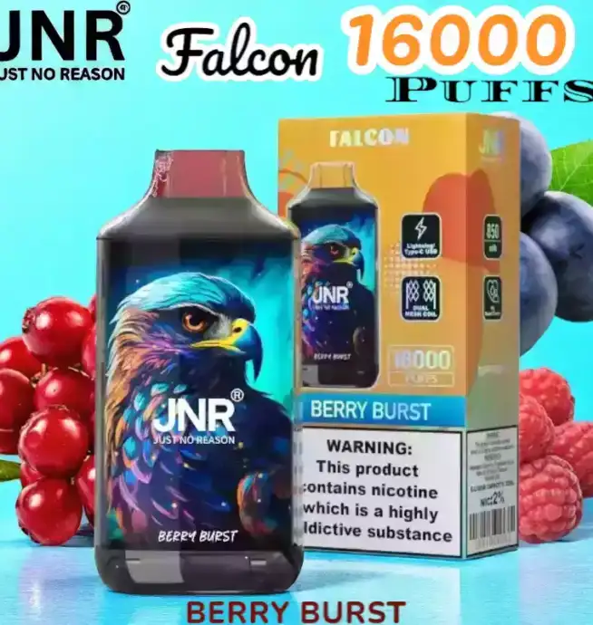 JNR Falcon 16000 Puffs Expérience de Vape Unique et Durable