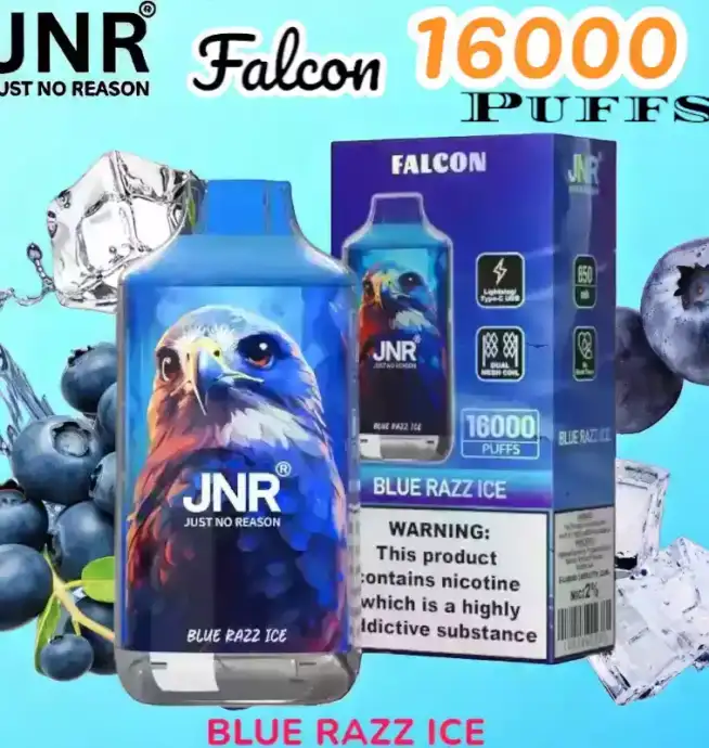 JNR Falcon 16000 Puffs Expérience de Vape Unique et Durable