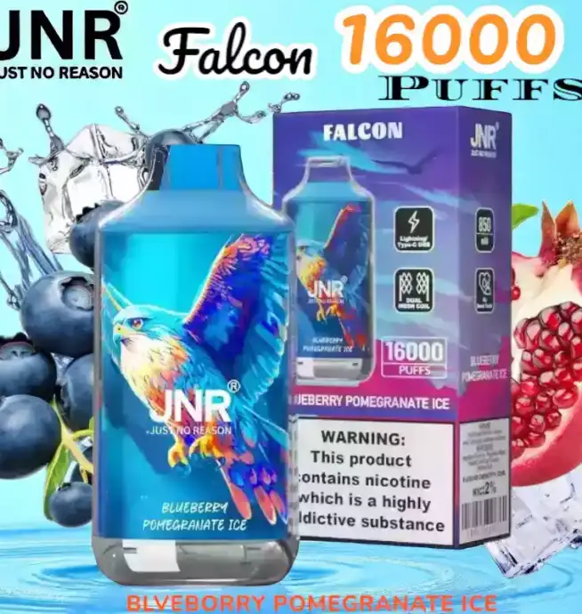 JNR Falcon 16000 Puffs Expérience de Vape Unique et Durable