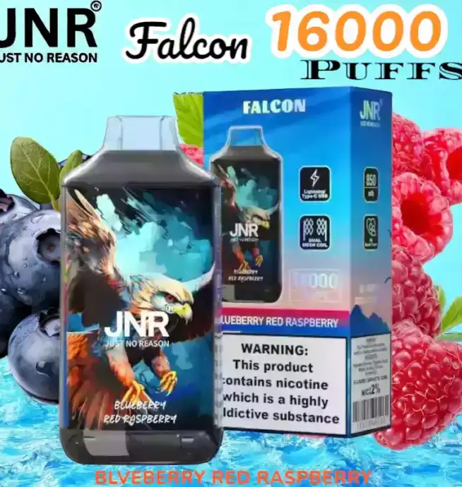 JNR Falcon 16000 Puffs Expérience de Vape Unique et Durable