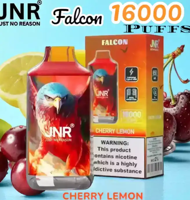 JNR Falcon 16000 Puffs Expérience de Vape Unique et Durable