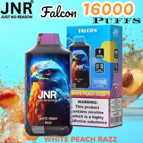 JNR Falcon 16000 Puffs Expérience de Vape Unique et Durable