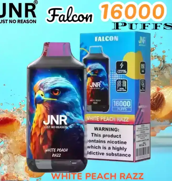 JNR Falcon 16000 Puffs Expérience de Vape Unique et Durable