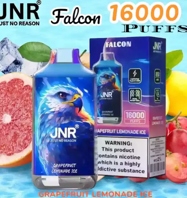JNR Falcon 16000 Puffs Expérience de Vape Unique et Durable
