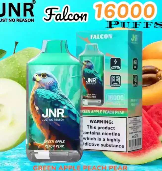 JNR Falcon 16000 Puffs Expérience de Vape Unique et Durable