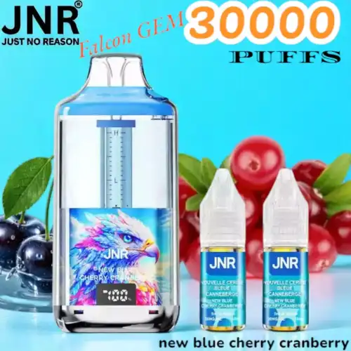 JNR Falcon GEM 30000 PUFFS Vape Jetable avec Recharge Rapide et Saveurs