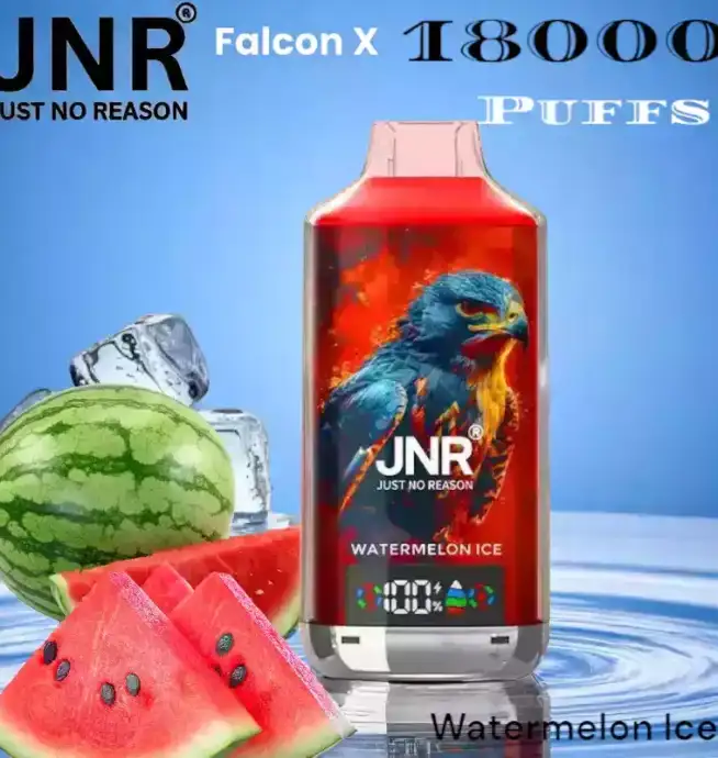 JNR Falcon-X 18000 Puffs Vape rechargeable avec 20 saveurs