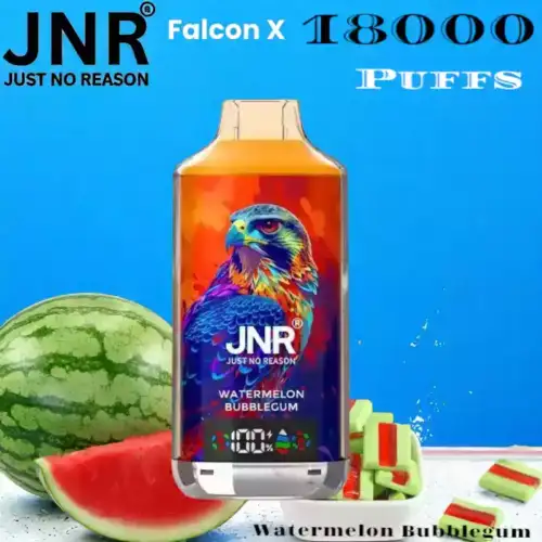 JNR Falcon-X 18000 Puffs Vape rechargeable avec 20 saveurs