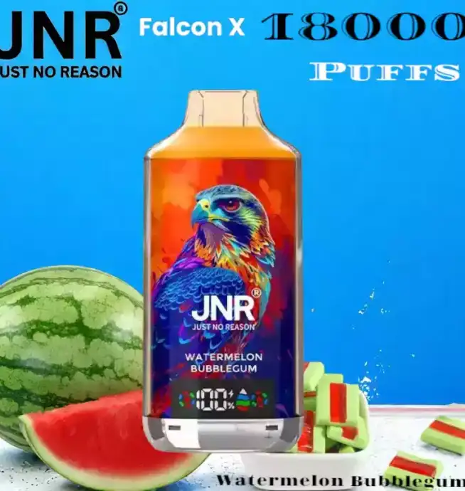 JNR Falcon-X 18000 Puffs Vape rechargeable avec 20 saveurs