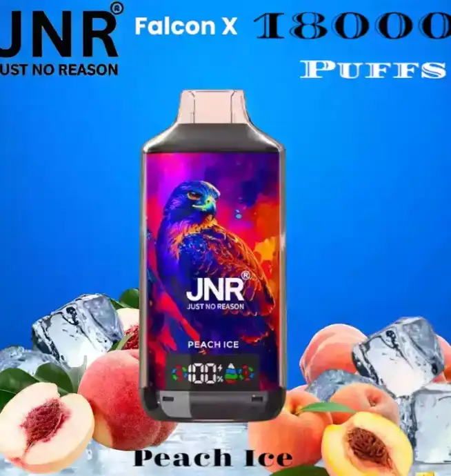 JNR Falcon-X 18000 Puffs Vape rechargeable avec 20 saveurs