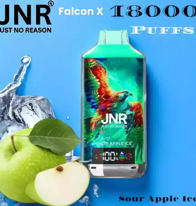 JNR Falcon-X 18000 Puffs Vape rechargeable avec 20 saveurs