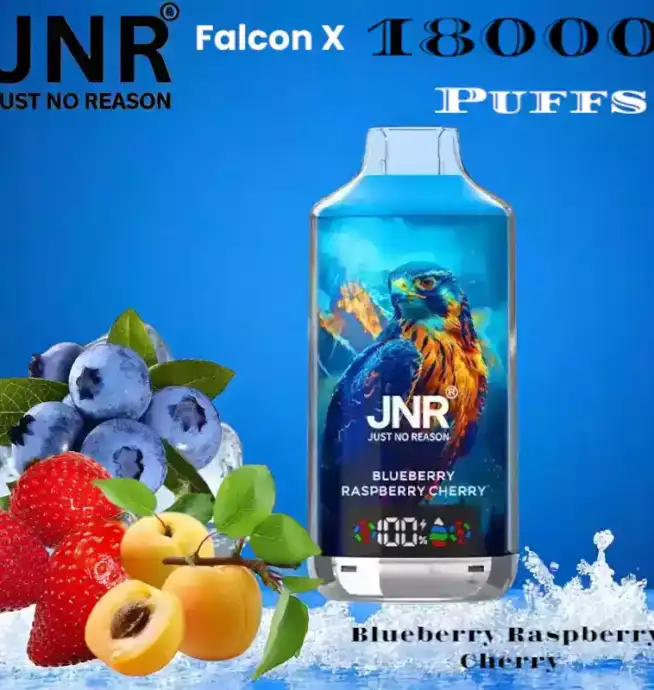 JNR Falcon-X 18000 Puffs Vape rechargeable avec 20 saveurs