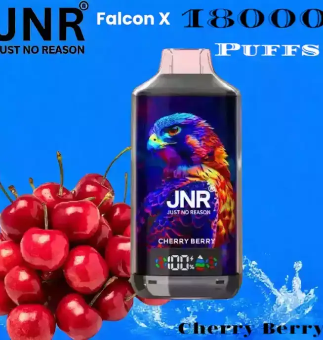 JNR Falcon-X 18000 Puffs Vape rechargeable avec 20 saveurs
