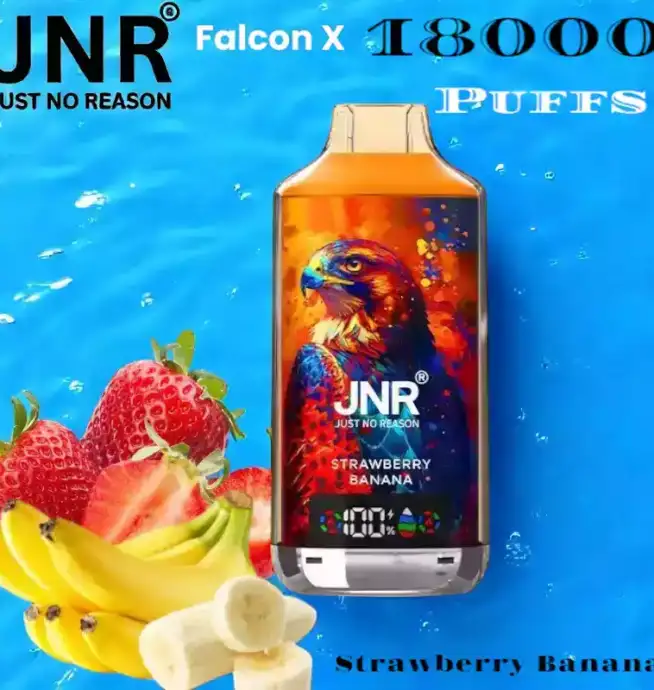 JNR Falcon-X 18000 Puffs Vape rechargeable avec 20 saveurs