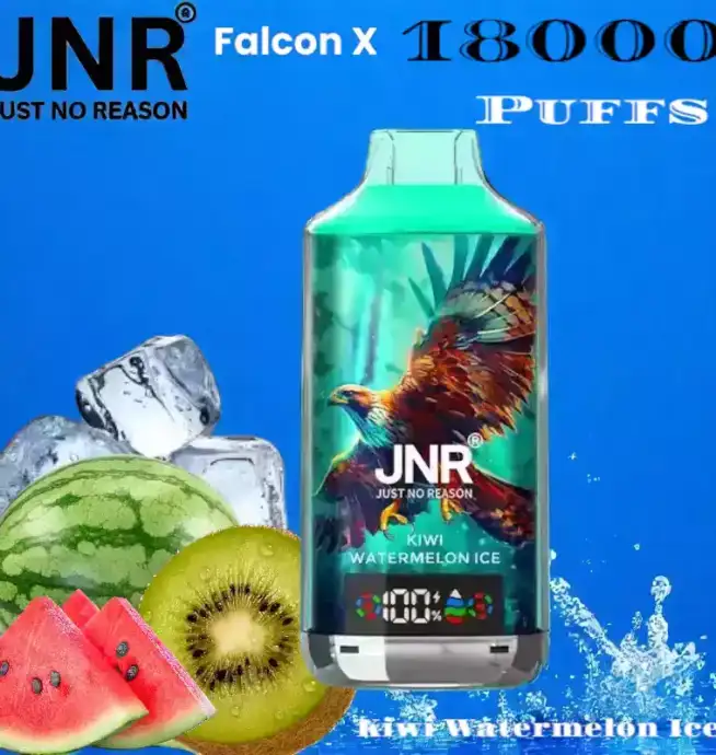 JNR Falcon-X 18000 Puffs Vape rechargeable avec 20 saveurs