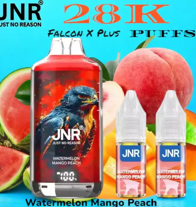 JNR Falcon X Plus 28K Puffs Vape Jetable avec 28 000 Bouffées