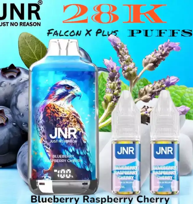 JNR Falcon X Plus 28K Puffs Vape Jetable avec 28 000 Bouffées