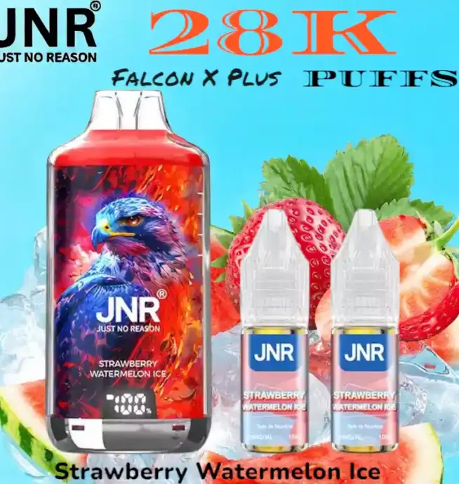 JNR Falcon X Plus 28K Puffs Vape Jetable avec 28 000 Bouffées