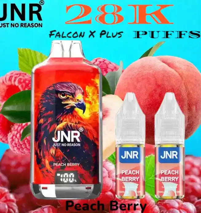 JNR Falcon X Plus 28K Puffs Vape Jetable avec 28 000 Bouffées