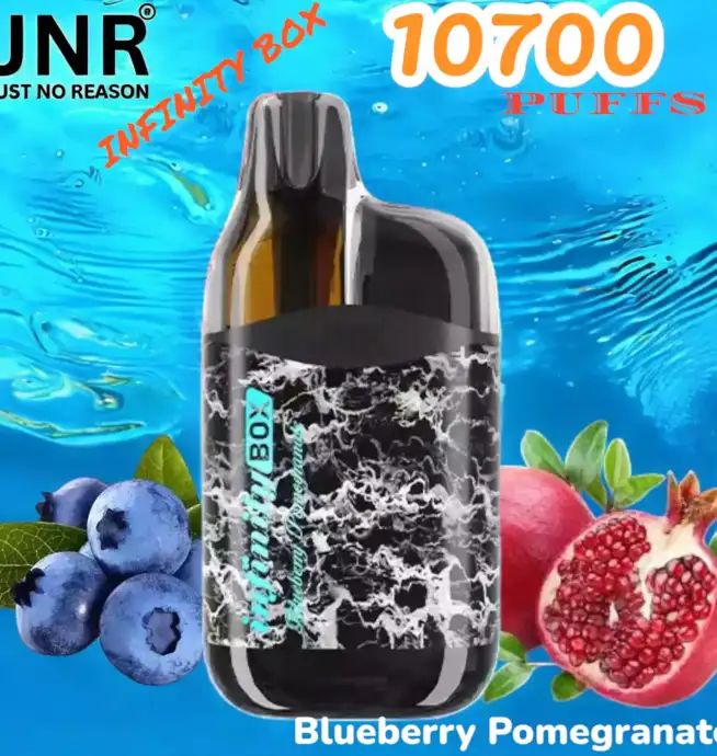 JNR INFINITY BOX 10700 PUFFS Vape Jetable Haute Performance et Longévité
