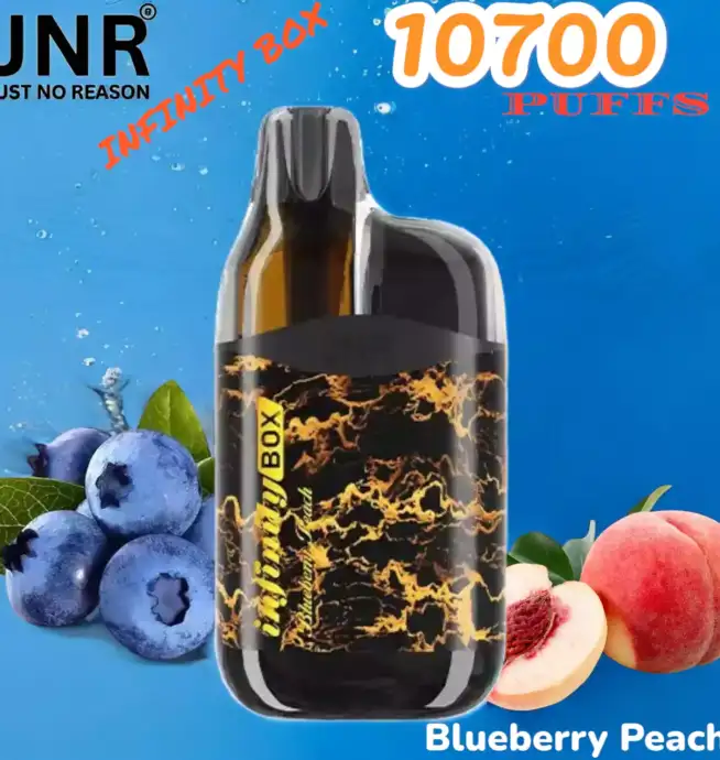 JNR INFINITY BOX 10700 PUFFS Vape Jetable Haute Performance et Longévité