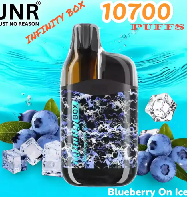 JNR INFINITY BOX 10700 PUFFS Vape Jetable Haute Performance et Longévité
