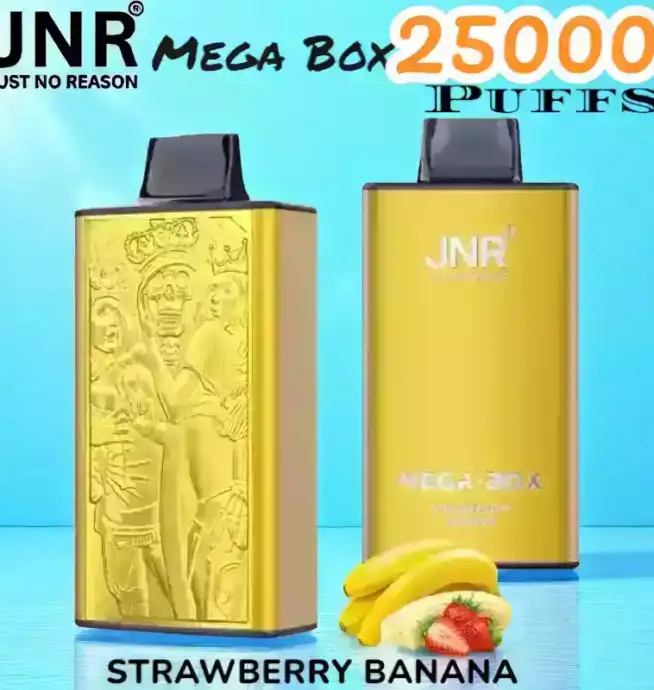 JNR Mega Box 25000 Puffs Expérience de Vape Longue Durée et Savoureuse