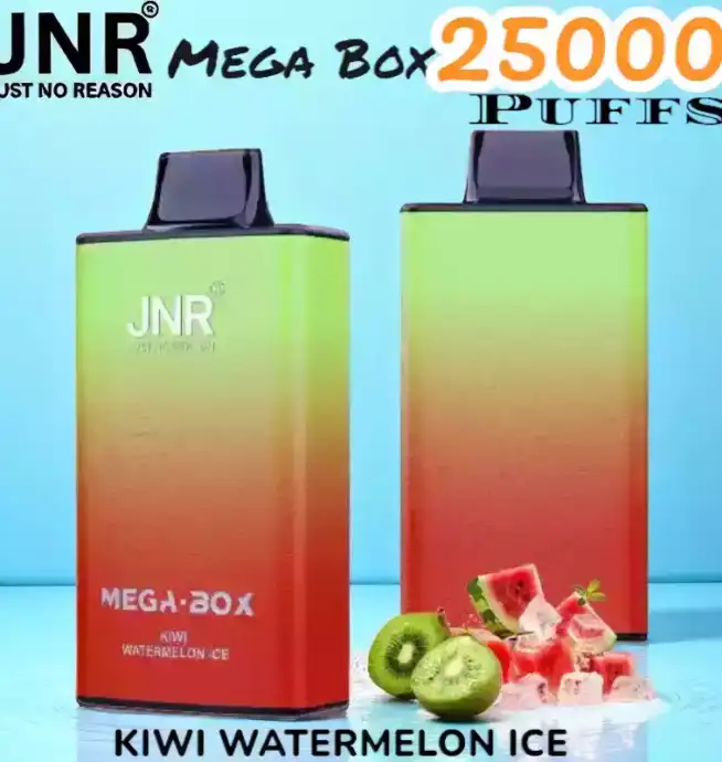 JNR Mega Box 25000 Puffs Expérience de Vape Longue Durée et Savoureuse