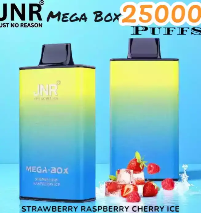 JNR Mega Box 25000 Puffs Expérience de Vape Longue Durée et Savoureuse