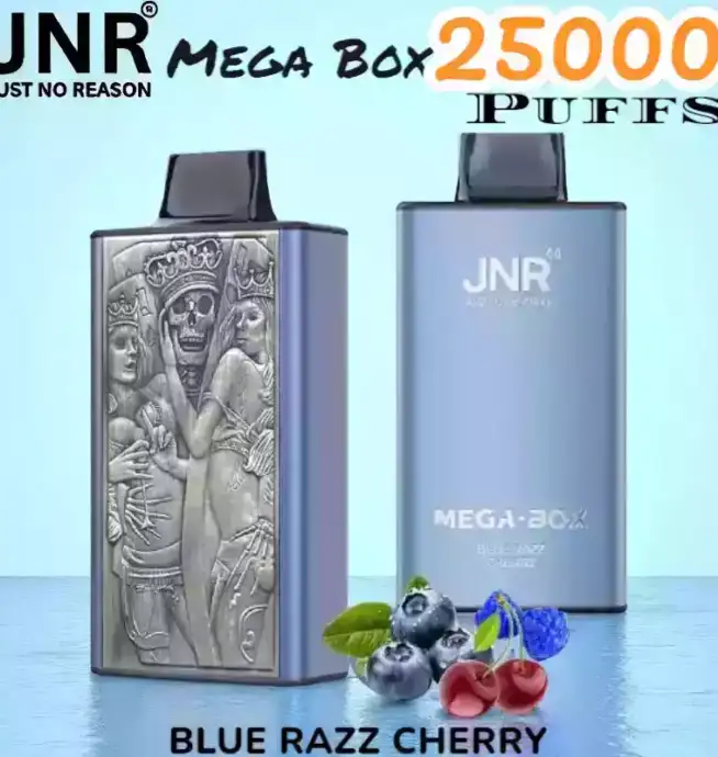 JNR Mega Box 25000 Puffs Expérience de Vape Longue Durée et Savoureuse