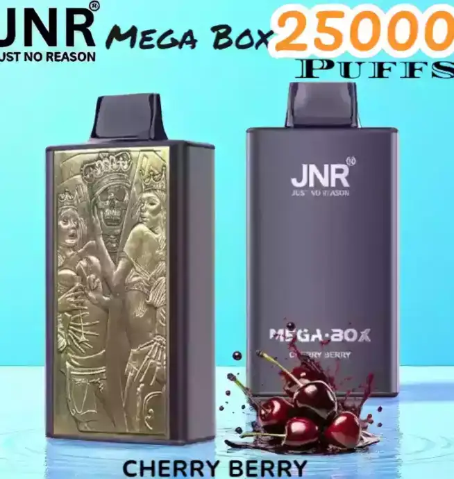 JNR Mega Box 25000 Puffs Expérience de Vape Longue Durée et Savoureuse