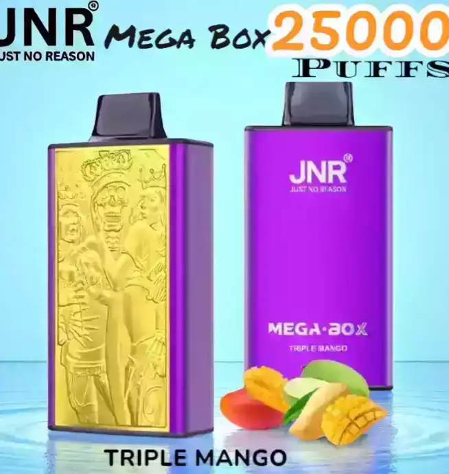 JNR Mega Box 25000 Puffs Expérience de Vape Longue Durée et Savoureuse