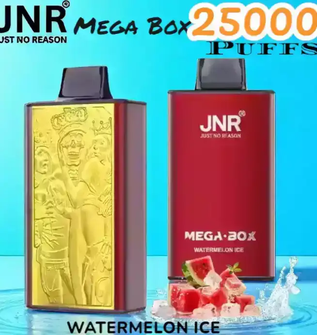JNR Mega Box 25000 Puffs Expérience de Vape Longue Durée et Savoureuse